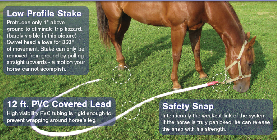 Beyond Tack Ground Tie System